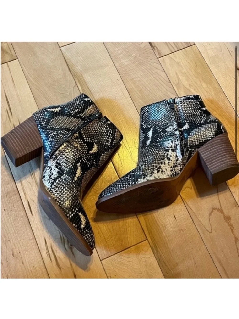Madewell Ankle Boots Snake Embossed Leather Moonstone Multi size seven (7)